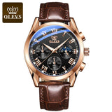 OLEVS Top Brand Mens Quartz Watch Noctilucent Business Waterproof